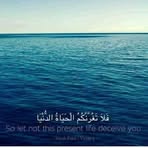 Fatima Shareef - Facebook