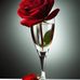 Fatima Biwi Tinku Sheikh - Facebook