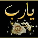 Fatima soliman - @fatimasoliman8 - Instagram