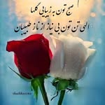 Fatima Soliman - @fati_masoliman - Instagram