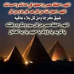Fatima Soliman - @fatima.soliman.507 - Instagram
