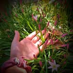 ale.15 - @fatima_sorto_ - Instagram
