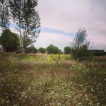 Fatima - @fatima.talebi57 - Instagram