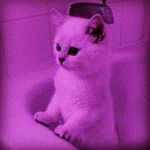 fatima talebi - @fatimatalebi37 - Instagram
