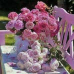 Fatima Vaid - Facebook