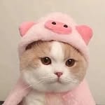 _Fatima_Valiye_^-^ - @_fatima_._._valiyev - Instagram
