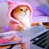 Fatima Wagner843 - @fatima44020 - TikTok
