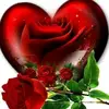 Хулиганка _95😎👊🌹 - @fatimawee - TikTok