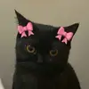fati manwellle 💗🦋 - @fati.manwells - TikTok