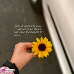 Fatima - @fatima_wurm90 - Instagram