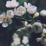Fatima Yusef - @fatimayusef - Instagram