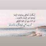 Fatin Issa - @fatin.issa.12 - Instagram