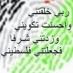 Fatin Issa - @fatenissa44 - Instagram
