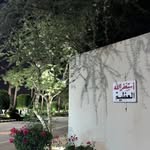 Fatma Abdalla - @fatma_abdalla___ - Instagram