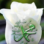 Fatma Aksu - Facebook
