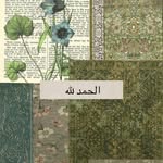 Fatma  Bayram - @_fatmabyrmm_ - Instagram