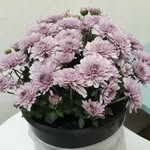 Fatma Dilmen Karataş - @fatmadilmenkaratas - Instagram