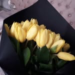 Fatma Elif Dilmen - @dilmen.fatma - Instagram