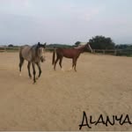 Fatma Duran🏇🐎 - @duran_and_duran - Instagram