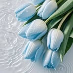 Fatma Eren - Facebook