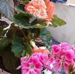 Fatma Eren - Facebook