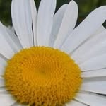 Fatma Çakır Gurel - @fatma.gurel.81 - Instagram