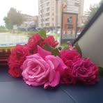 Fatma Gurel - Facebook