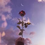Fatma Haney Okasha - Facebook