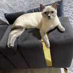 Fatma Karaca - Facebook