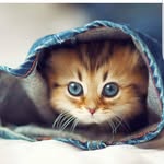 @__fatma.__.love - Instagram