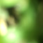 Fatma.1997.love - @fatma.1997.love - Instagram
