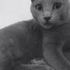 fatma_lovee - @fatma_lovee - TikTok
