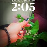 Fatma Abdulkerim Masri - @fate7na - Instagram