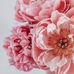 Fatma Masri - Facebook