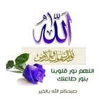 Fatma Moussa - @fatma.moussa.7587 - Instagram
