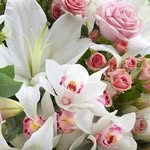 Fatma Moussa - @fatma.moussa.92102564 - Instagram