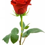 Fatma Mutlu - Facebook