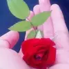 fatmamutlu - @fatmamutlu006 - TikTok