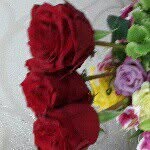 fatom - @fatma_said - Instagram
