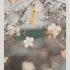 fatmasara91 - @fatmasara91 - TikTok
