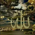 fatmasaracoglu - @fatmasaracoglu48 - Instagram
