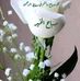 Fatma Sayed - Facebook