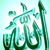 fatma sayed - @fatma.sayed449 - TikTok