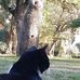 Fatma Yüceler - Facebook