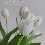 fatme - @aounfatme - Instagram