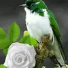 fatmeaoun123 - @fatmeaoun123 - TikTok