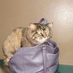 Fauna Kohlman - @fauna_wauna_woowoo - Instagram