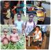 Fiona Koman - Facebook
