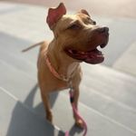 Ms. Fauna Duke Miller - @missfaunaduke - Instagram