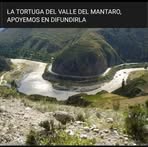 Fausta Castillo - Facebook